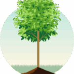 City of Harmony 2025 Tree Program