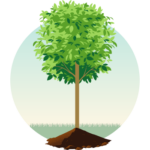 City of Harmony 2026 Tree Program